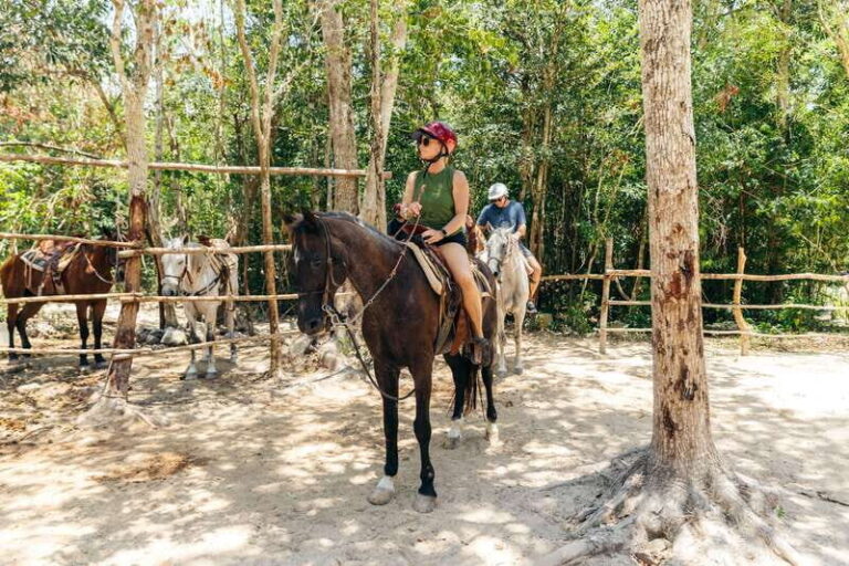 Rider Tour - Authenticity, Value, and Practical Considerations