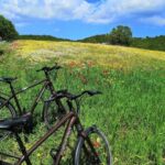 Riding to Alberobello and countryside with E-Bike - Final Thoughts: Is This Tour Worth It?