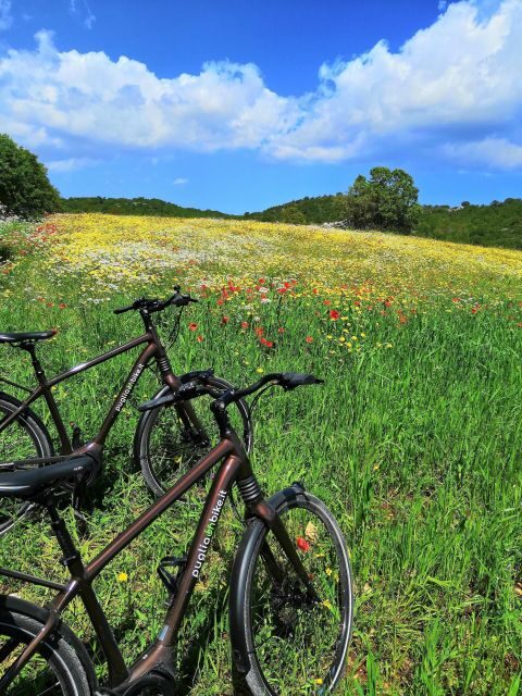Riding to Alberobello and countryside with E-Bike - Final Thoughts: Is This Tour Worth It?