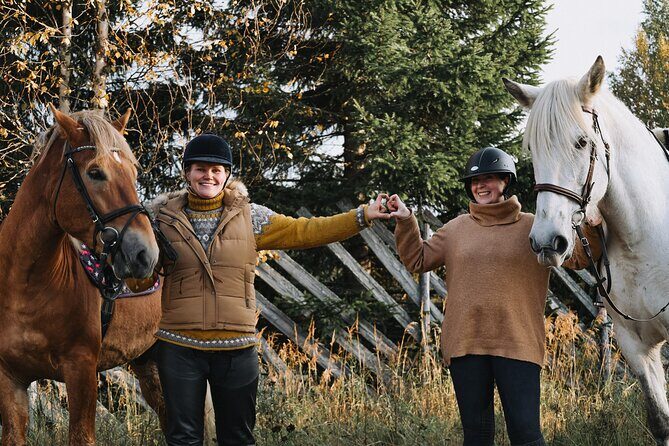 Riding Tour with Finnhorses at Santa Claus Village - What the Reviews Say
