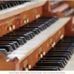 Riga: Concerto Piccolo and Cathedral Visit - Price and Value