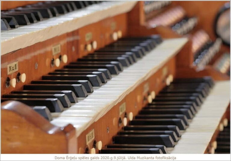 Riga: Concerto Piccolo and Cathedral Visit - Price and Value