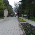 Riga: Green Spaces Bike Tour with Mezaparks and Old Town - Who Will Enjoy This Tour?