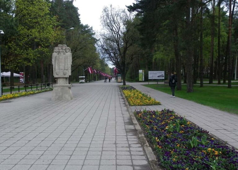 Riga: Green Spaces Bike Tour with Mezaparks and Old Town - Who Will Enjoy This Tour?