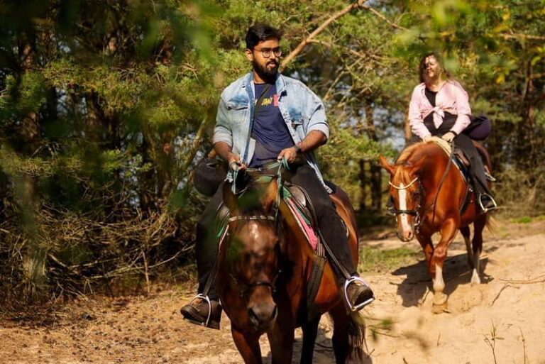 Riga Horse Riding tour along the Beach - The Experience in Detail