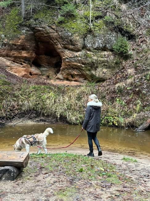 Riga: Husky Hike in the Nature Trail - Detailed Itinerary and What to Expect
