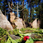 Riga: Jewish History and Heritage Tour - FAQ: Your Practical Questions Answered