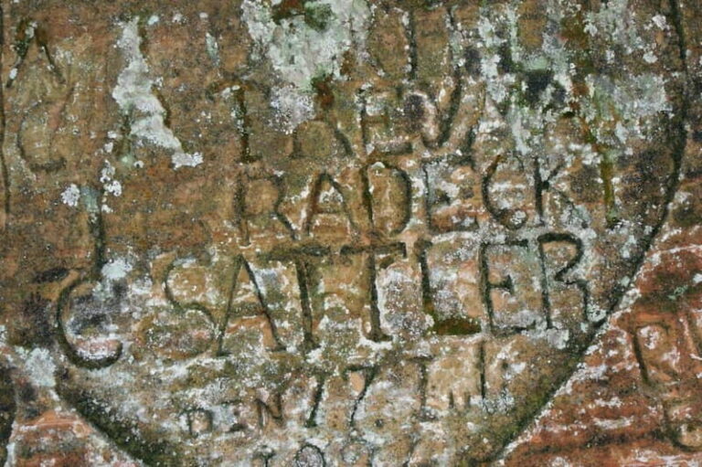 Riga: Private Sigulda, Turaida, and Gauja National Park Tour - Why This Tour Works for You