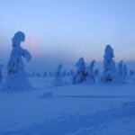 Riisitunturi National Park Snowshoe Adventure - Why This Tour Offers Great Value