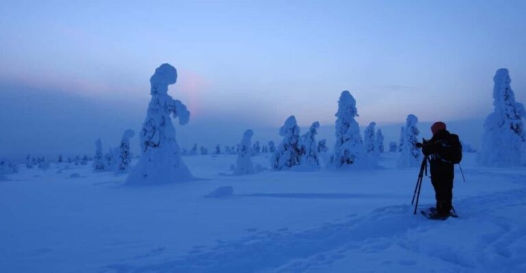 Riisitunturi National Park Snowshoe Adventure - Why This Tour Offers Great Value