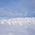 Riisitunturi National Park Snowshoe Experience - FAQ