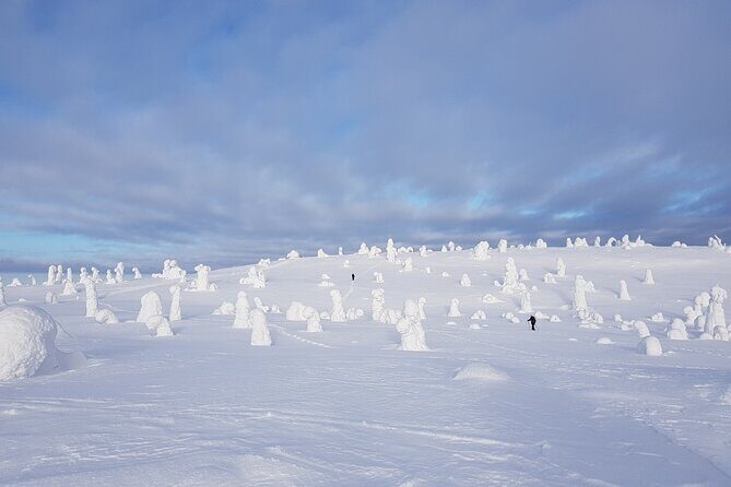 Riisitunturi National Park Snowshoe Experience - FAQ