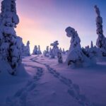 Riisitunturi wilderness adventure - FAQs