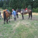 Rila Trail Riding for Experienced Riders - What Makes This Tour Stand Out?