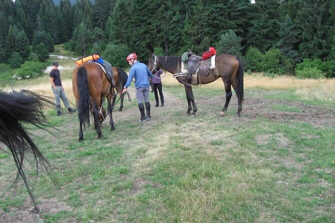 Rila Trail Riding for Experienced Riders - What Makes This Tour Stand Out?