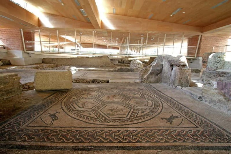 Rimini: Domus del Chirurgo and City Museum Entry Ticket - A Deep Dive into the Experience