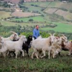 Rimini: San Leo Cashmere Farm Experience - A Genuine Look at the San Leo Cashmere Farm