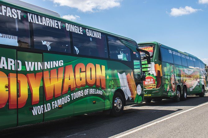 Ring of Kerry Day Tour from Cork: Including Killarney National Park - Who Will Love This Tour?
