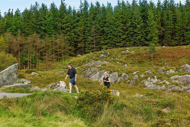 Ring of Kerry & Skellig Ring: Private Luxury Tour from Killarney - Who Will Love This Tour?