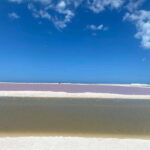 Rio Lagartos and Las Coloradas: EcoSafari Flamingo classic - Final Thoughts
