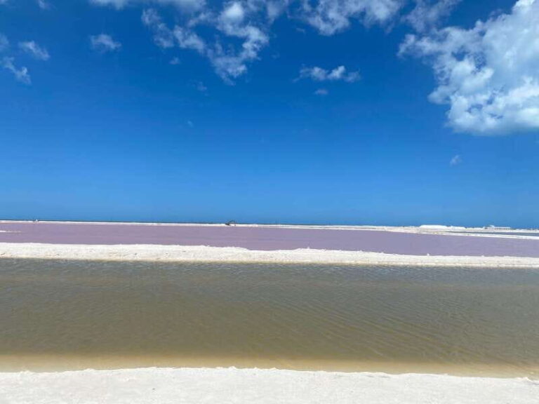 Rio Lagartos and Las Coloradas: EcoSafari Flamingo classic - Final Thoughts