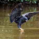 Rio Lagartos and Las Coloradas: EcoSafari Flamingo Luxury - Why This Tour Offers Great Value