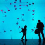 Ripley's Aquarium: Sharks After Dark Entry (After 5PM) - Final Thoughts