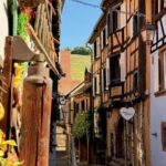 Riquewihr: the pearl of the vineyards with a local guide and tastings - Why This Tour Offers Value