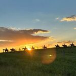 Rise and Shine 75 Minutes Early Morning Ride - Exploring the Sunrise Horse Ride in Hunter Valley