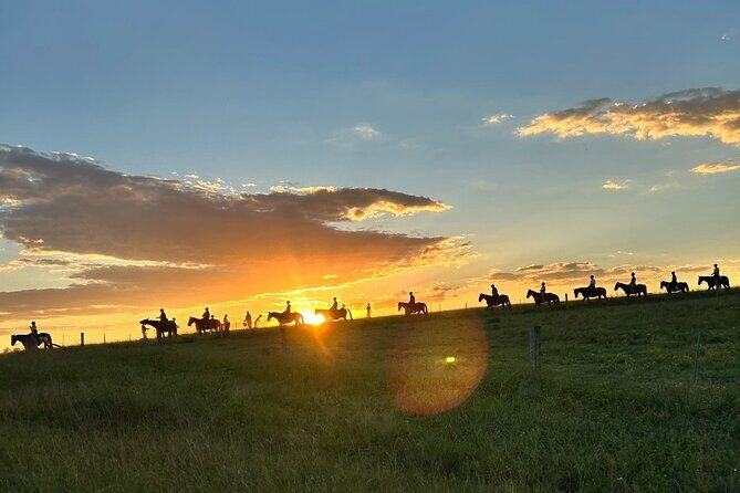 Rise and Shine 75 Minutes Early Morning Ride - Exploring the Sunrise Horse Ride in Hunter Valley