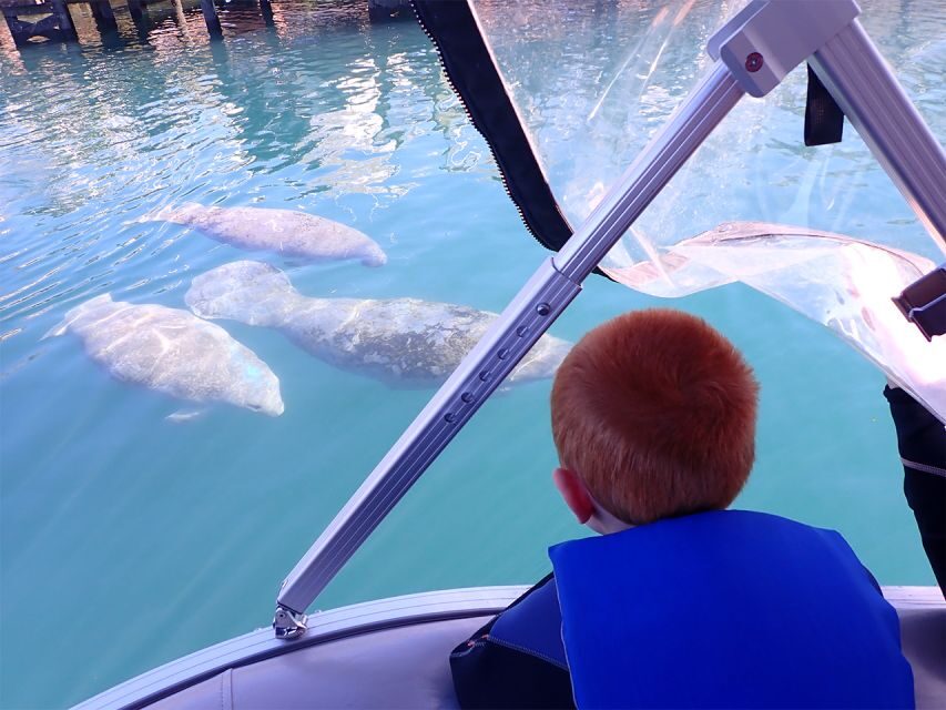 River Cruise with Manatee Viewing - A Closer Look at the Experience in Crystal River
