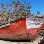 River Tejo South Margin - An In-Depth Look at the River Tejo South Margin Tour