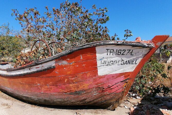River Tejo South Margin - An In-Depth Look at the River Tejo South Margin Tour