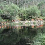 River Trekking in Arouca Geopark - Exploring the Details: What You Can Expect from the Tour