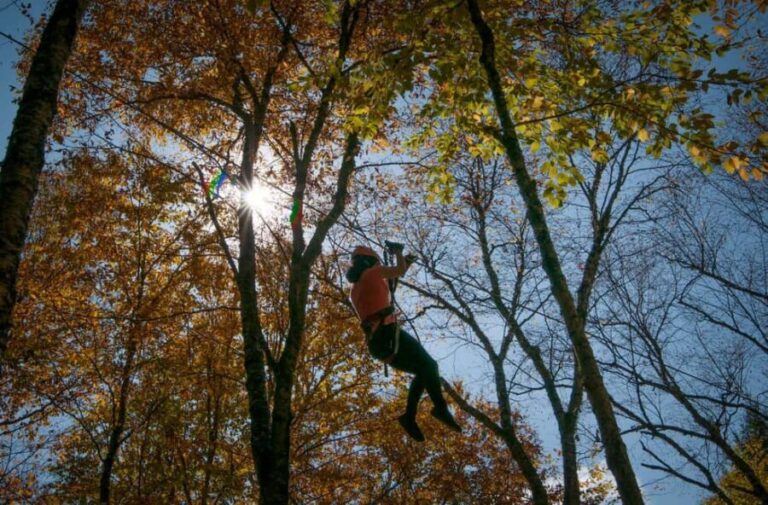 River Ziplines - Nature Tours - A Closer Look at the Ziplines and Experience
