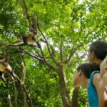 Riviera Maya: Croco Cun Interactive Zoo Tour - Who Should Consider This Tour?
