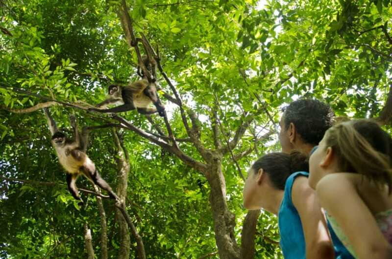 Riviera Maya: Croco Cun Interactive Zoo Tour - Who Should Consider This Tour?