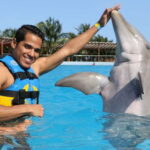 Riviera Maya: Dolphin Encounter with Beach Club Access - Practical Tips for Your Dolphin Encounter