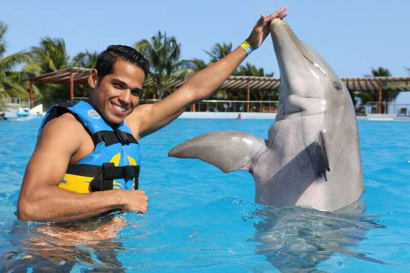 Riviera Maya: Dolphin Encounter with Beach Club Access - Practical Tips for Your Dolphin Encounter