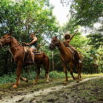Riviera Maya: Horseback Ride, Zipline, and ATV Adventure - Authentic Experiences and Traveler Feedback