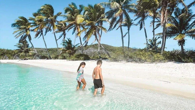 Riviera Maya: Isla Contoy and Isla Mujeres Full-Day Tour - The Experience: What Travelers Can Expect