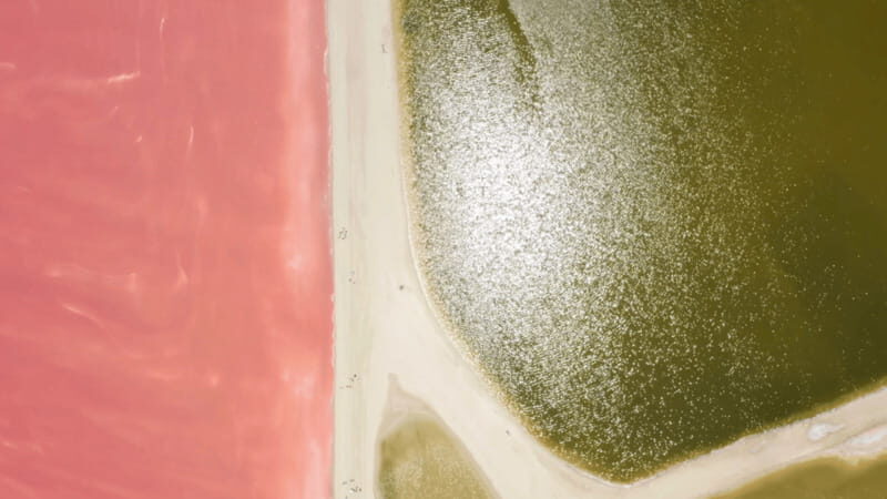 Riviera Maya: Rio Lagartos & Las Coloradas Day Trip w/Lunch