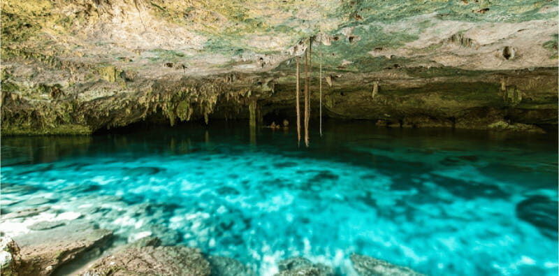 Riviera Maya: Snorkel Cenotes - What Some Travelers Say