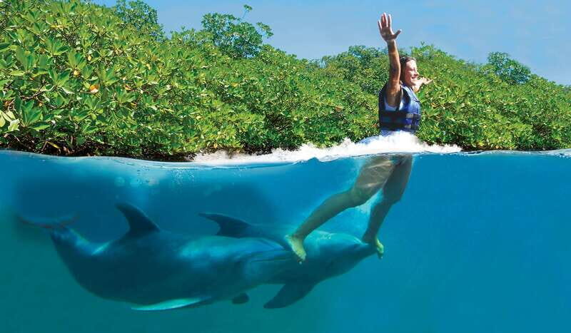 Riviera Maya: Swim with dolphins Primax - Authentic Insights from Visitors