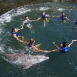 Riviera Maya: Swimming Experience with Dolphins - Who This Tour Is Best For