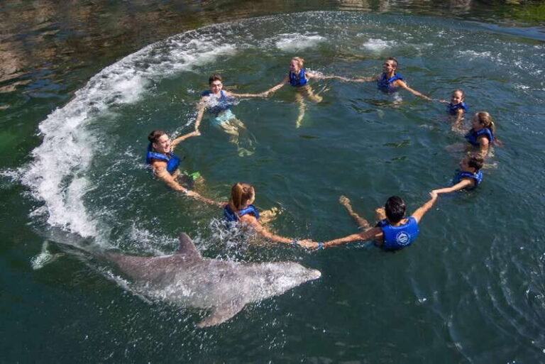 Riviera Maya: Swimming Experience with Dolphins - Who This Tour Is Best For
