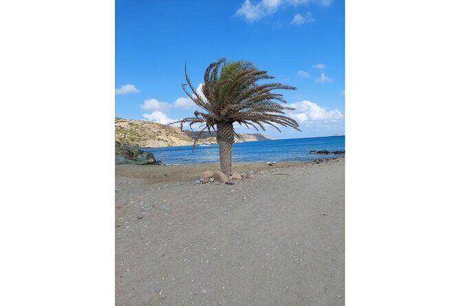 RIVIERA - Vai Palm Beach, Toplou Monastery - Authentic Experiences and Traveler Insights