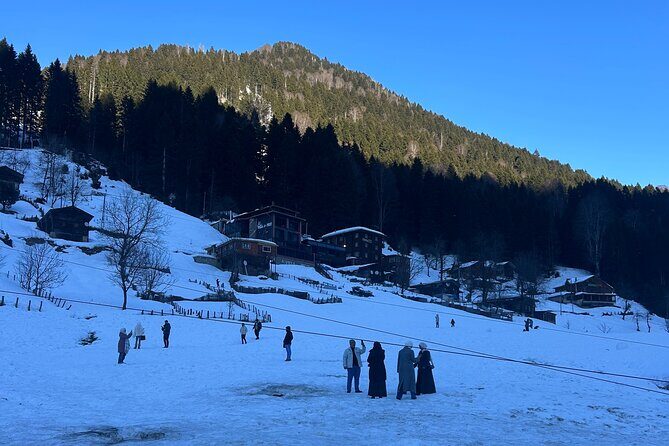 Rize and Ayder Tour Mountains and River - Authentic Experiences and Practical Tips