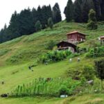 Rize: Ayder Tour & Kaçkar Mountans & Frtna Valley - An In-Depth Look at What This Tour Offers
