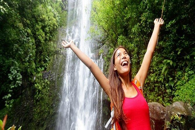 Road to Hana Deluxe Rainforest and Waterfall Experience from Maui - The Experience in Detail